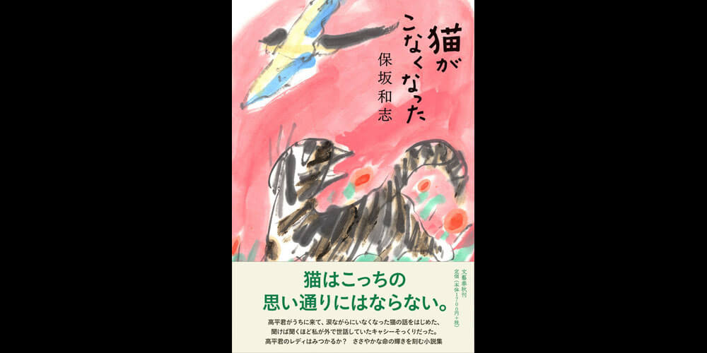 第26回 保坂和志『猫がこなくなった』 | ことさら出版