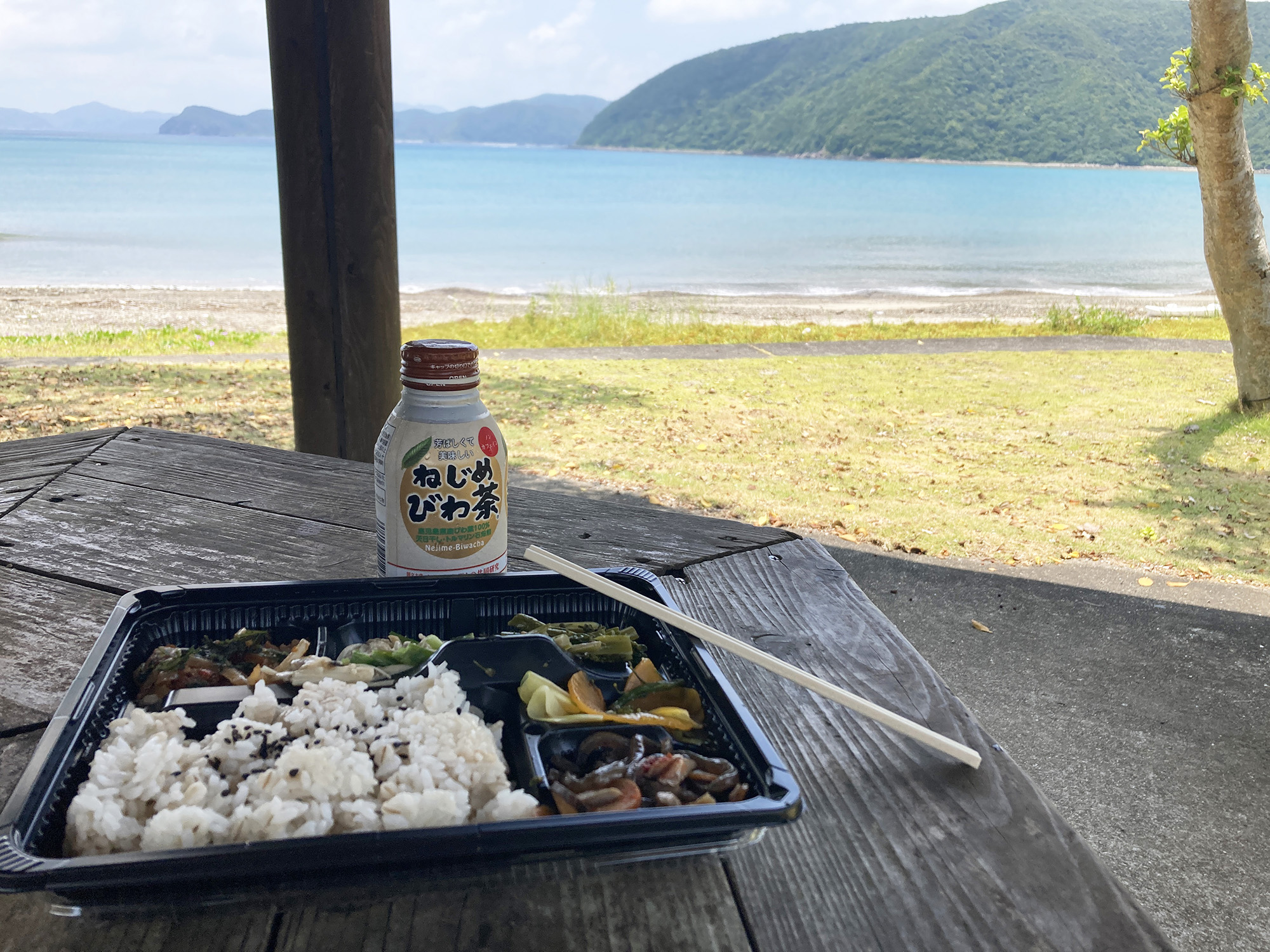 海沿いで一行が食べているお弁当の写真。